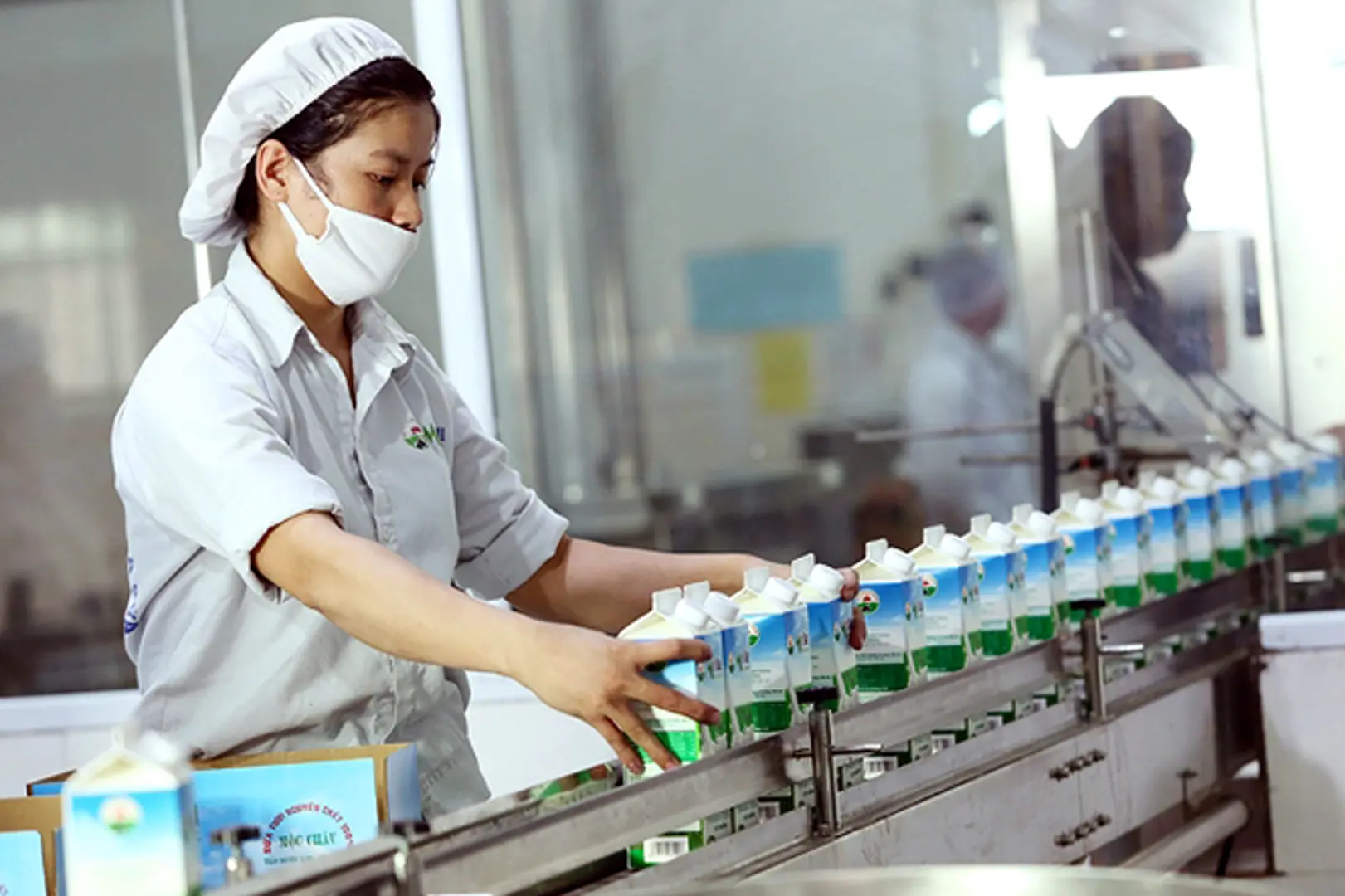 Mộc Châu Milk: 61 năm từ “người tiên phong” đến “chuyên gia bò sữa”