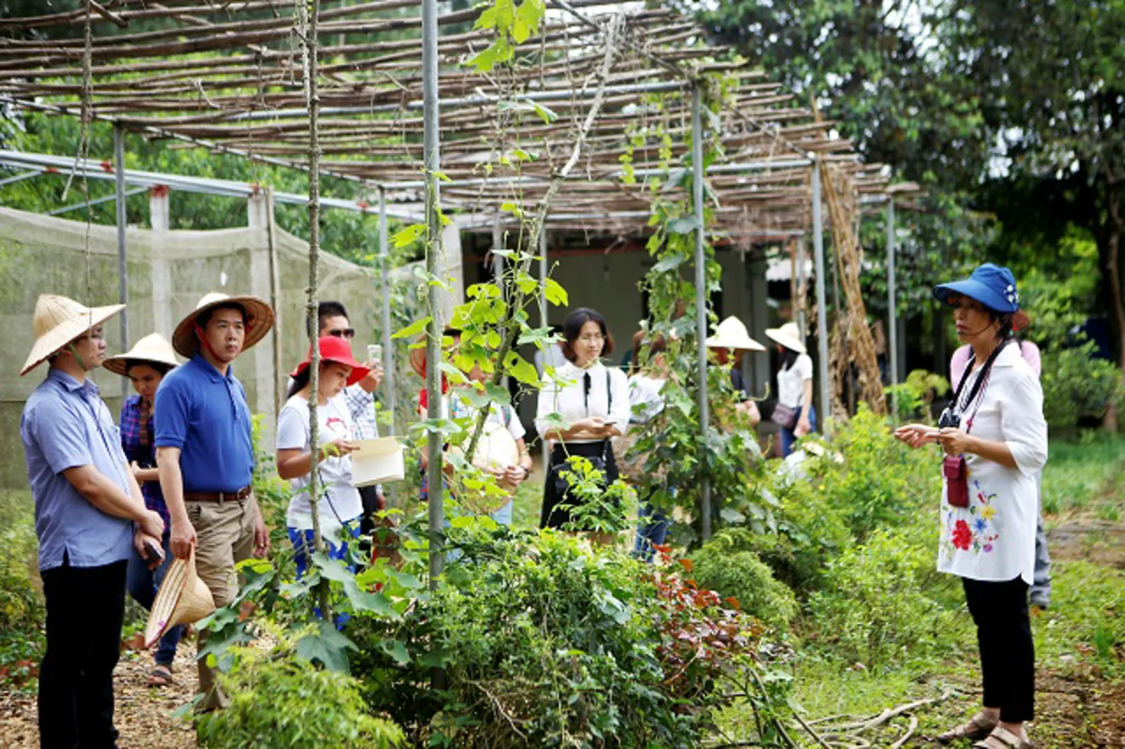 Du lịch nông nghiệp: Đất màu mỡ đang chờ giống tốt