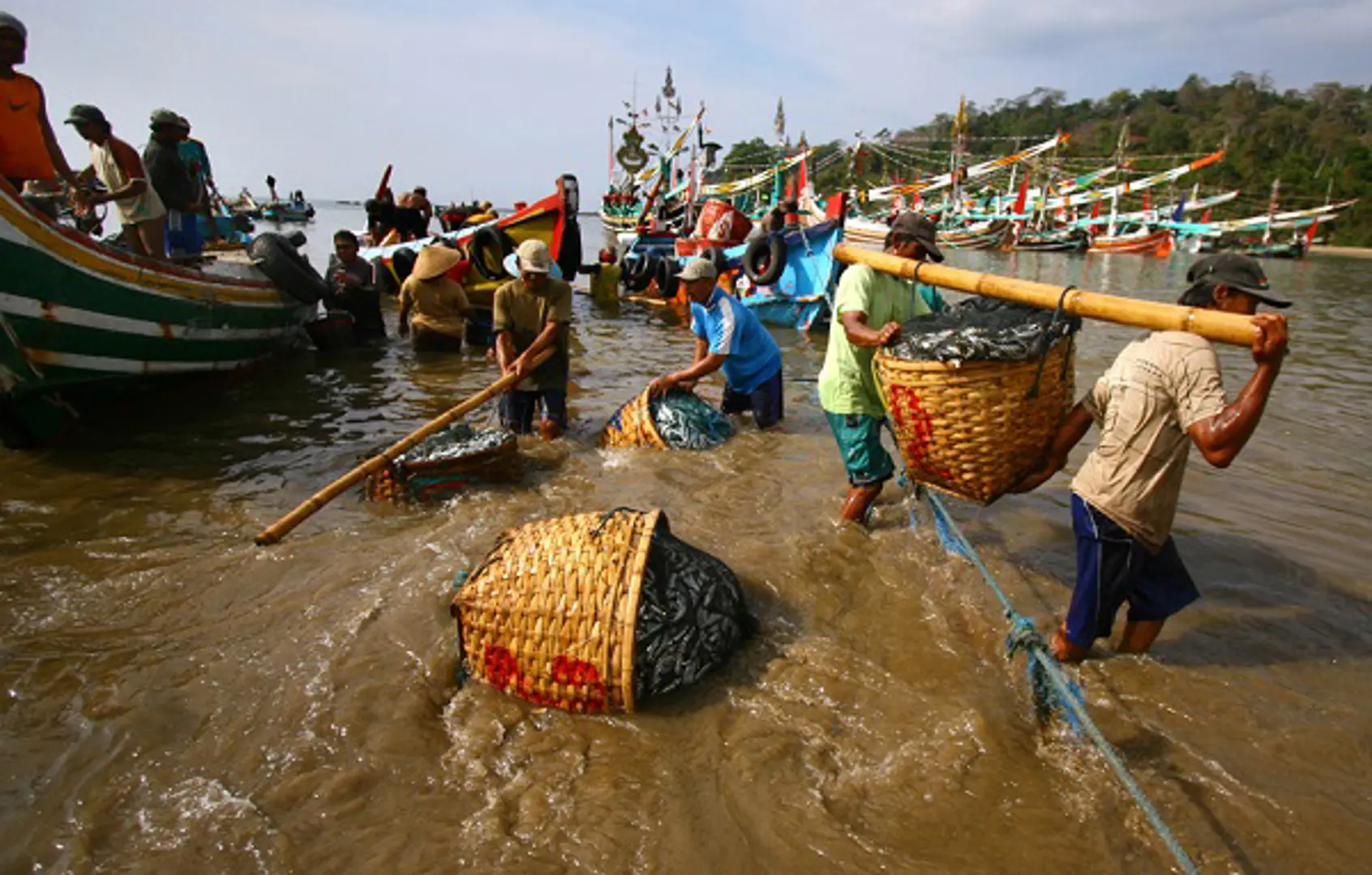 Miên man trước Biển