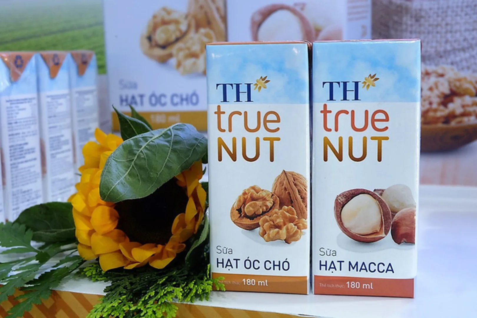 Dinh dưỡng sữa hạt TH true NUT: Xu hướng tiêu dùng lành mạnh