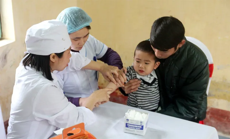 Hà Nội chủ động phòng, chống bệnh sán dây và ấu trùng sán lợn