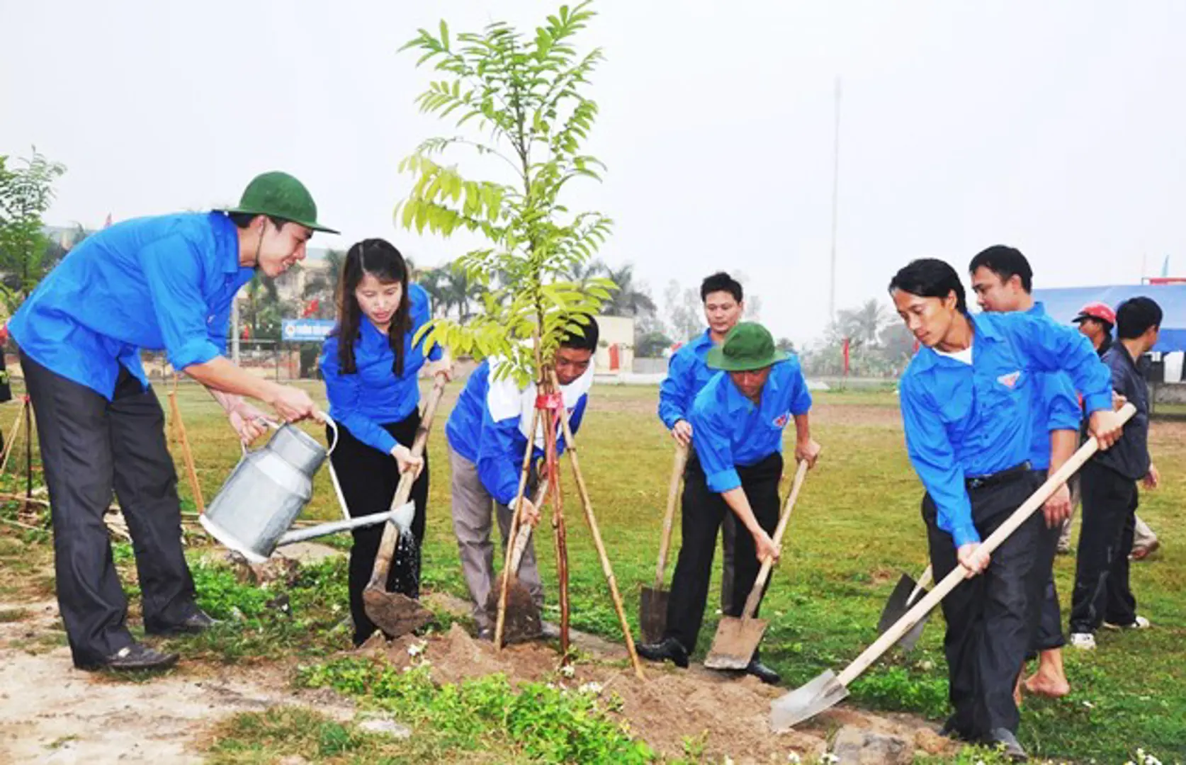 Hà Nội: Tổ chức Tết trồng cây thiết thực, hiệu quả, không phô trương hình thức