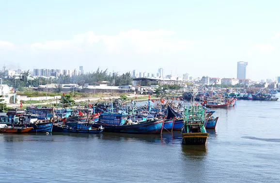 Kêu gọi tàu thuyền thoát khỏi vùng nguy hiểm của bão Kalmaegi