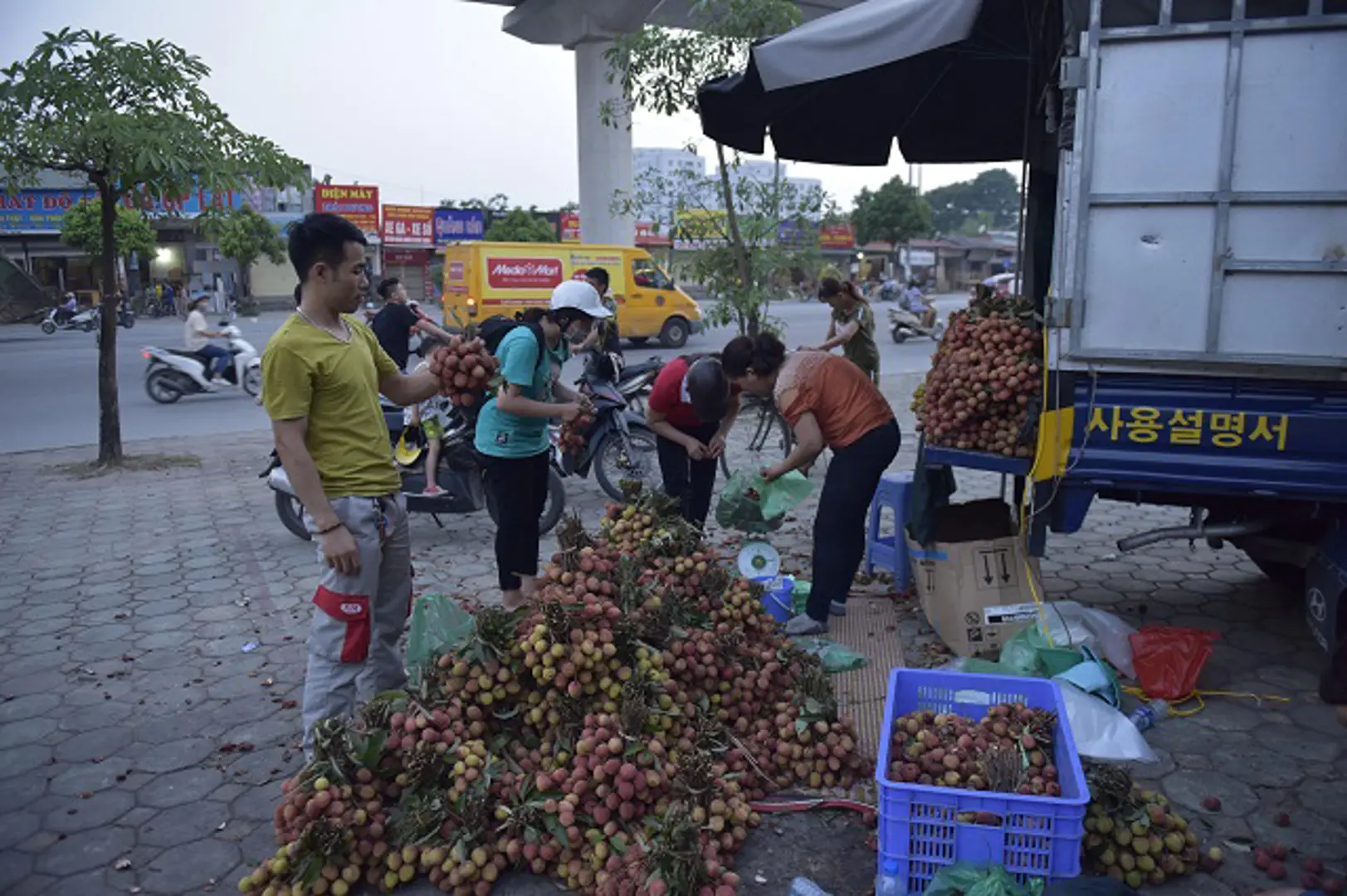 Doanh nghiệp bán lẻ Hà Nội hỗ trợ tiêu thụ vải thiều