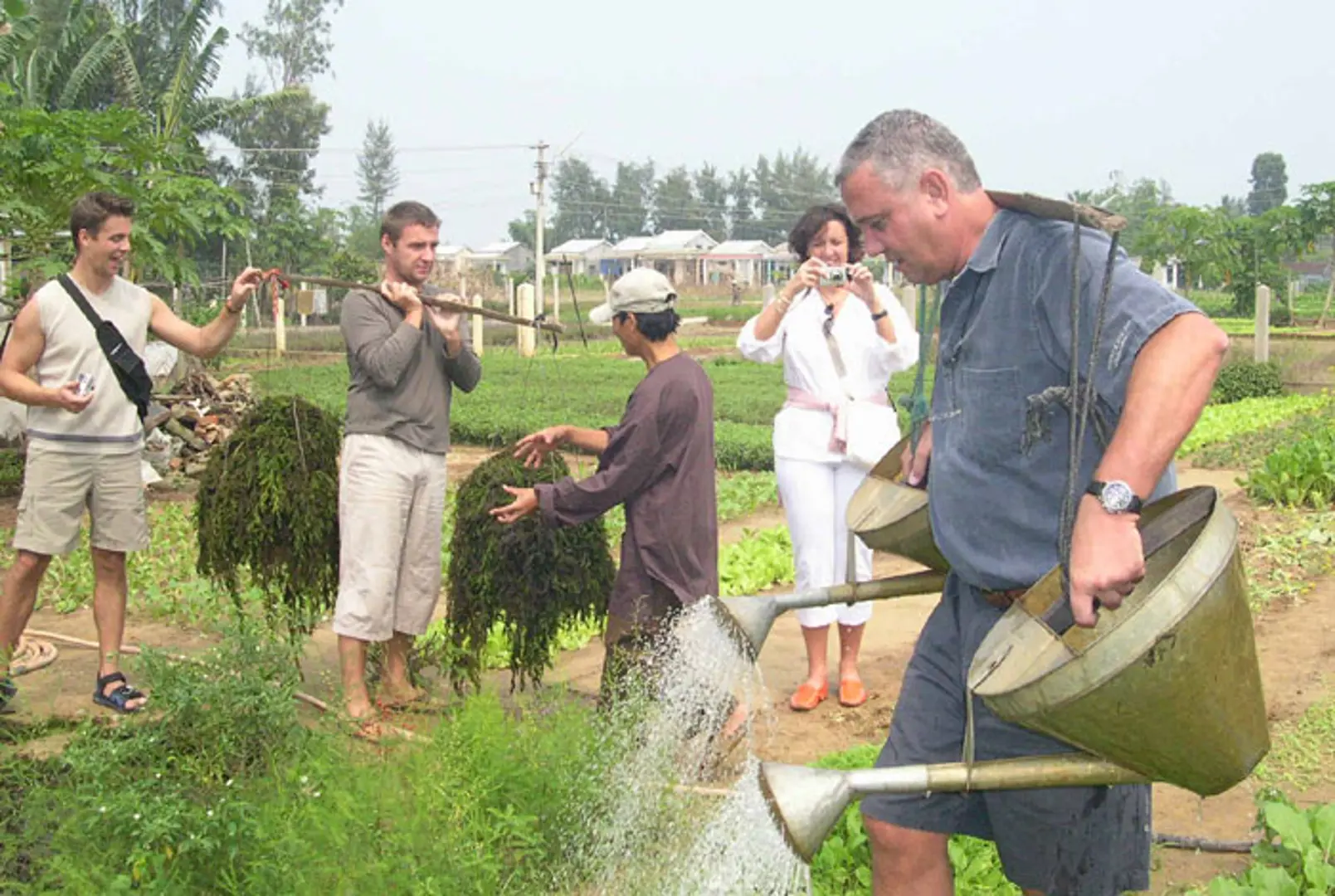 Một ngày làm nông dân Trà Quế