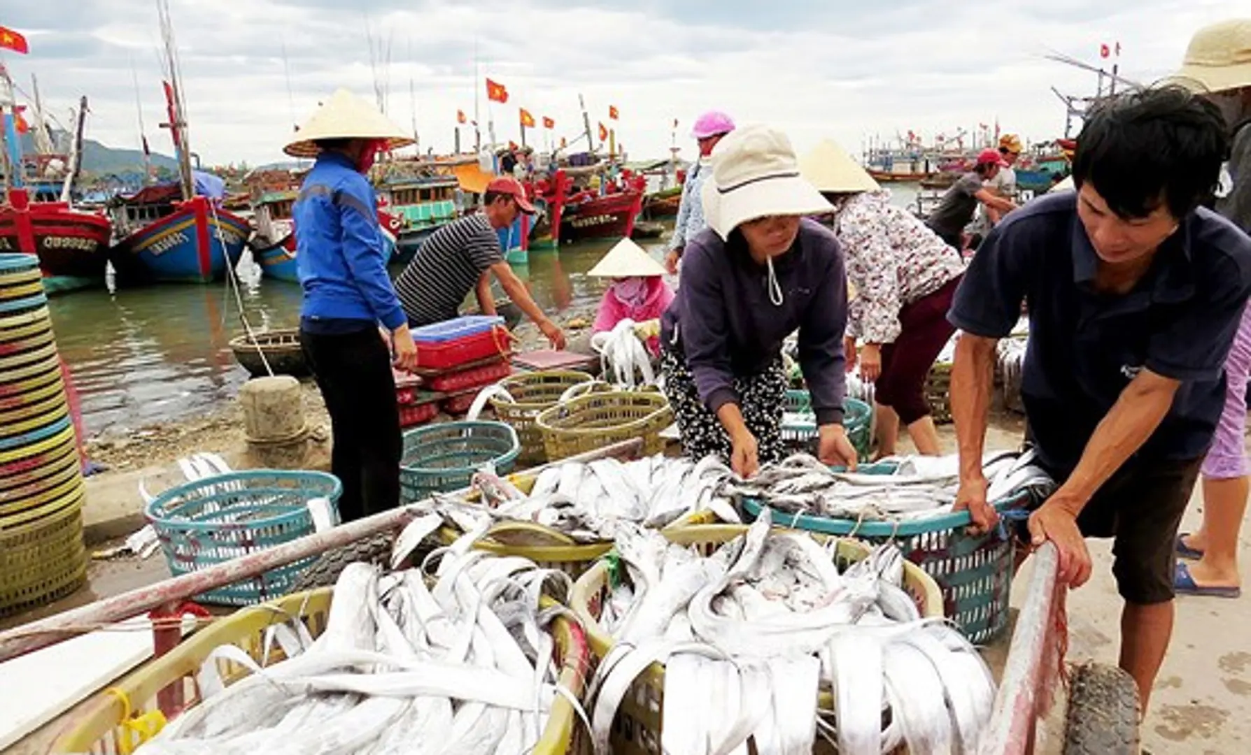 Bộ Nông nghiệp phản hồi thông tin 90 tấn thủy sản chưa xuất khẩu được vì thông tư 21