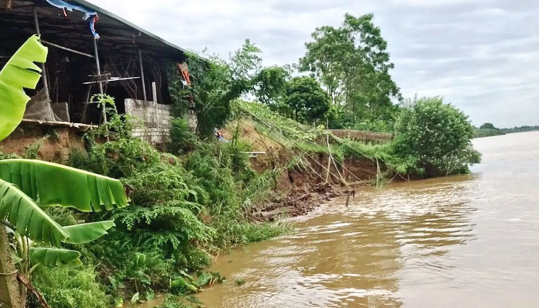 Cảnh báo từ sạt lở đê sau bão