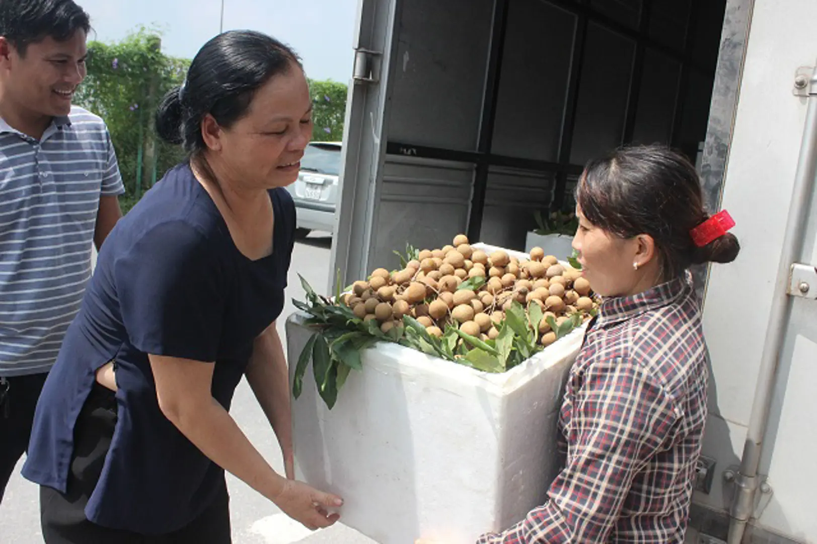 Hướng đi mới cho cây ăn quả đặc sản của Hoài Đức