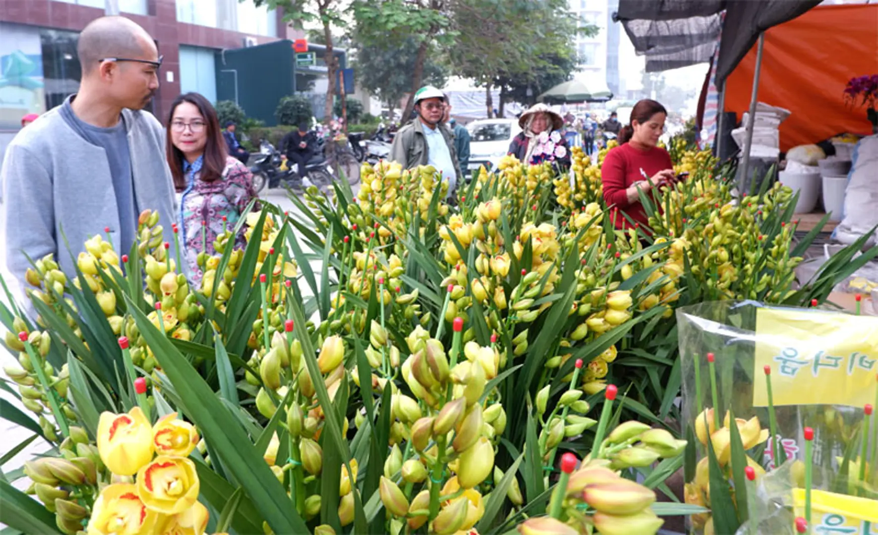 Chợ hoa – sinh vật cảnh Vạn Phúc, nơi hội tụ những mặt hàng chơi Tết