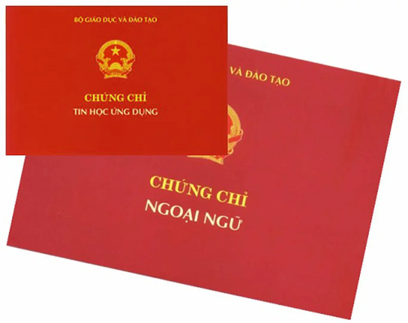 Bỏ quy định về kiểm tra, cấp chứng chỉ ngoại ngữ từ ngày 15/1/2020