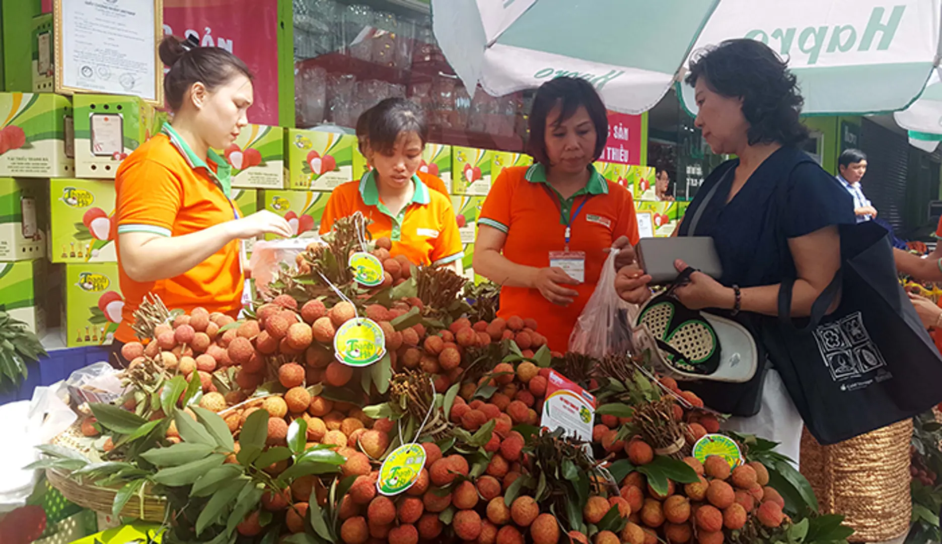 Vải thiều tăng giá