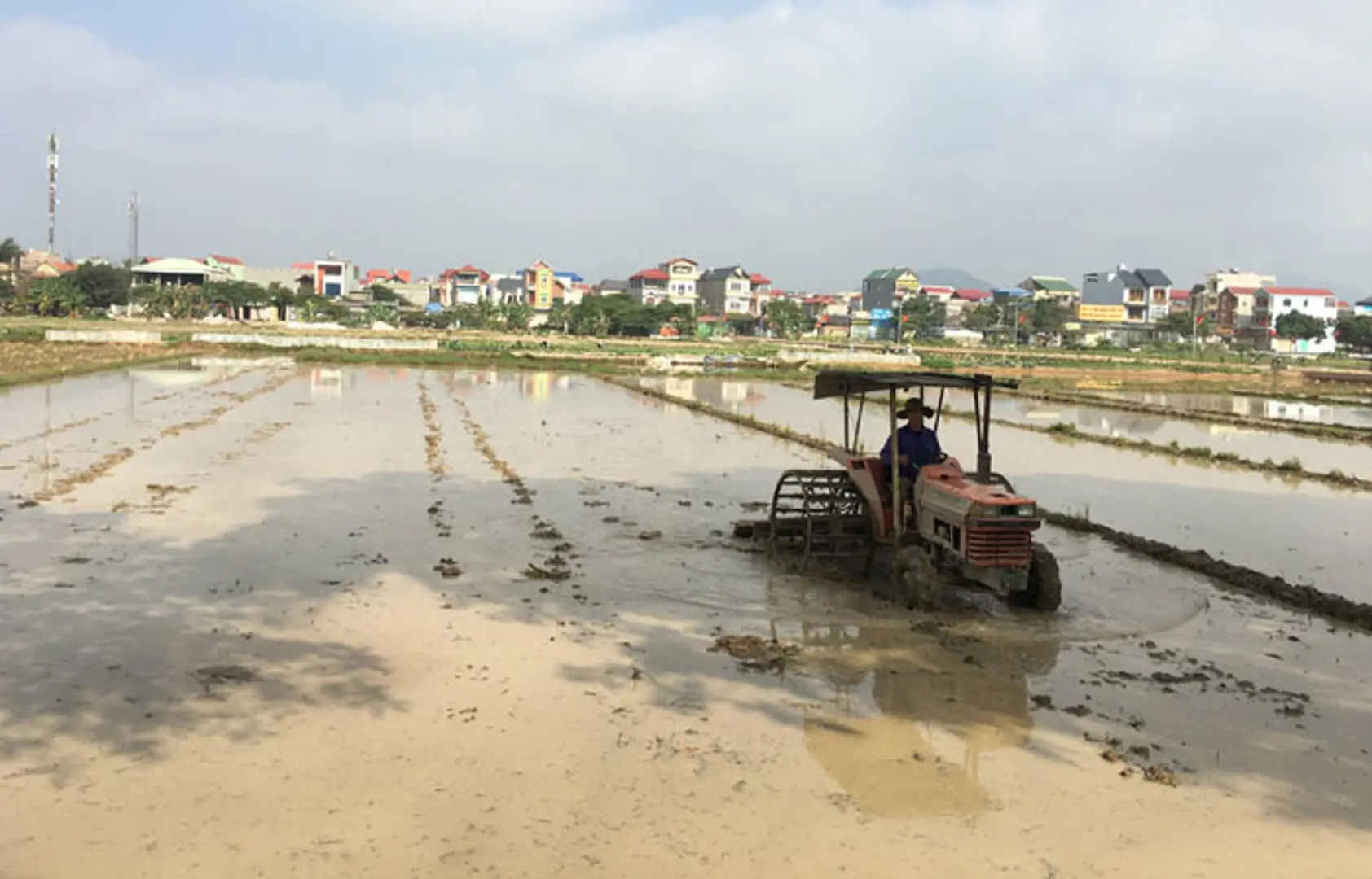 Nông dân rộn rã xuống đồng