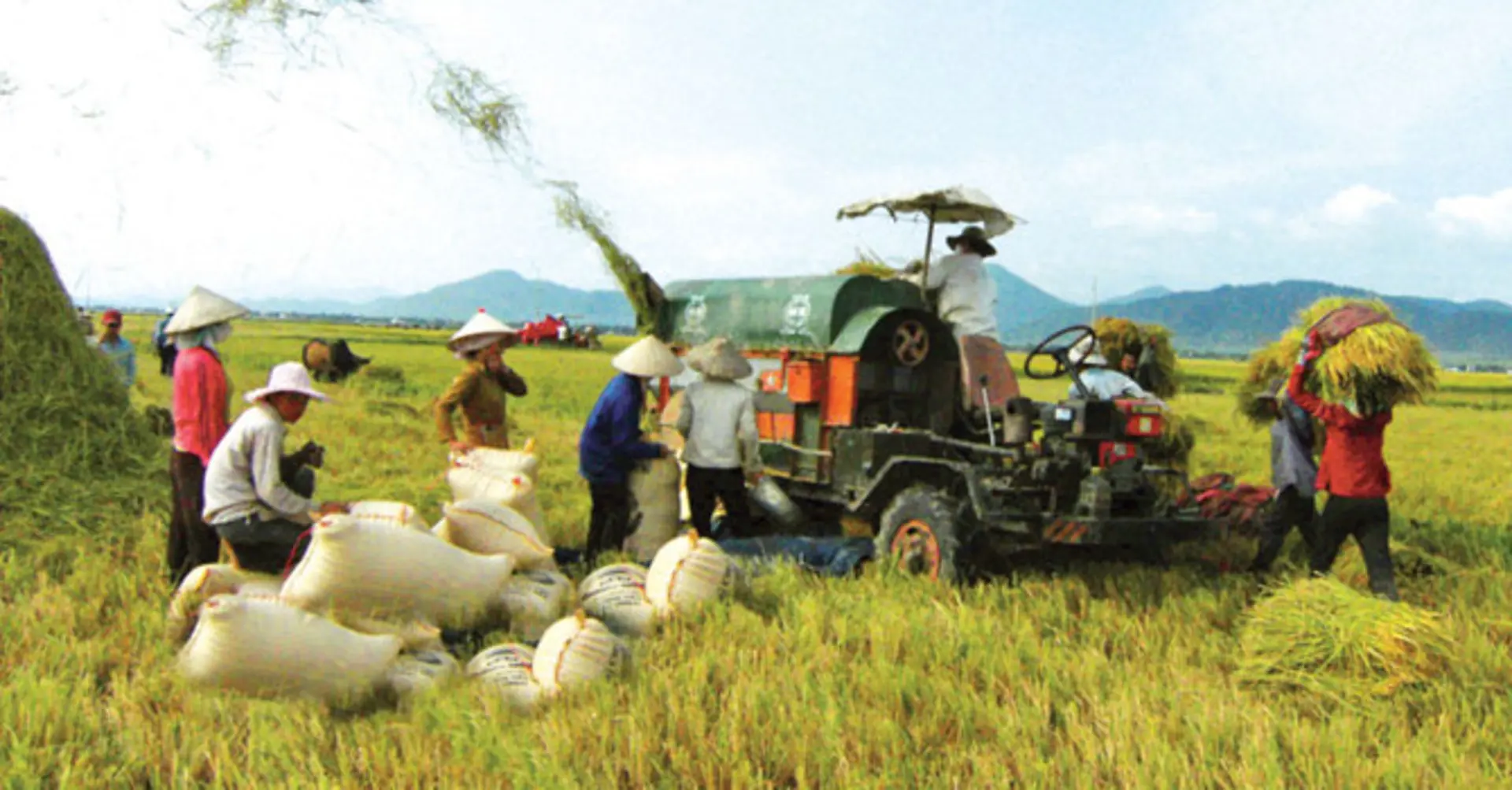 Tăng năng suất trên cơ sở công nghệ cao