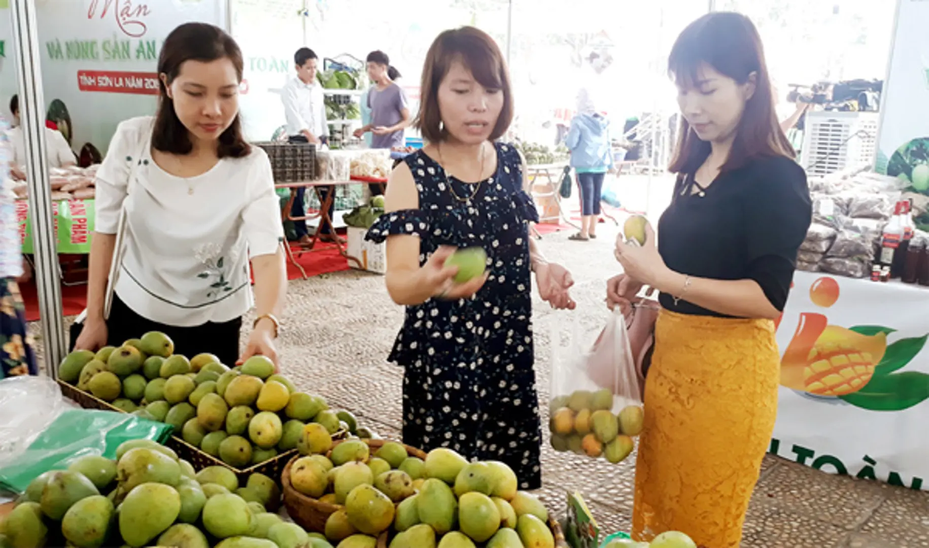 Đưa nông sản an toàn Sơn La về Hà Nội