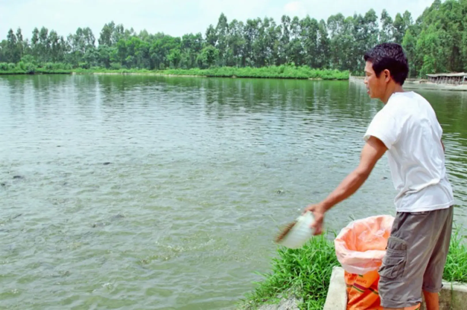 Hà Nội đẩy mạnh hỗ trợ nông dân chăn nuôi, nuôi trồng thủy sản an toàn