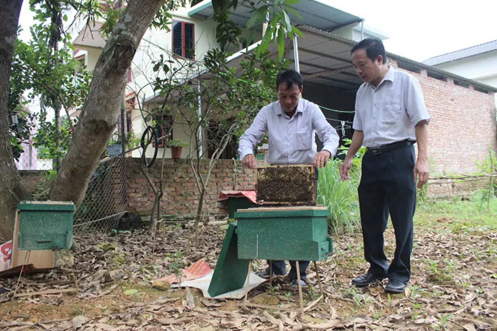 Kim Sơn nhân rộng mô hình nuôi ong lấy mật