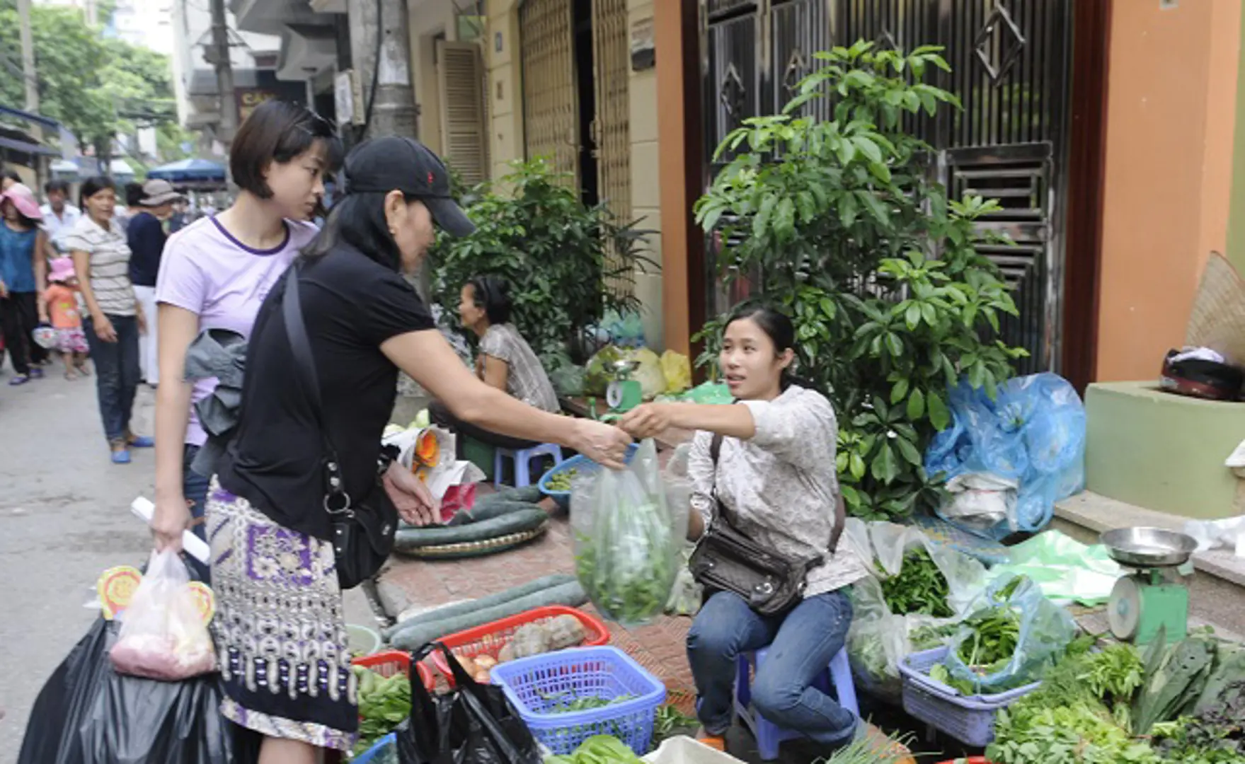 Mối nguy hại từ đồ nhựa dùng một lần