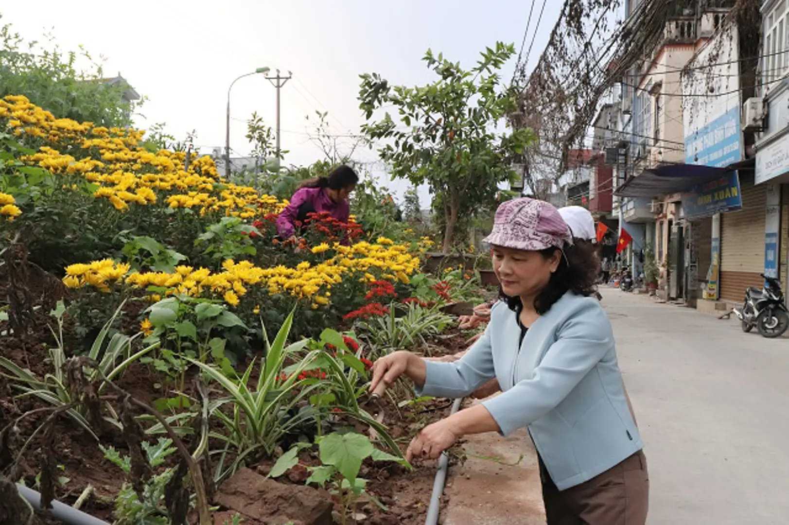 Môi trường thêm xanh từ những tuyến đường tự quản