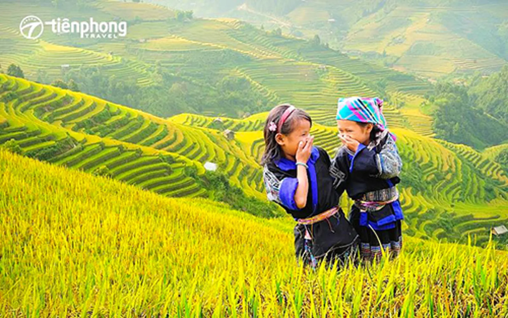 Trải nghiệm mùa lúa chín Mù Cang Chải cùng Tiên Phong Travel