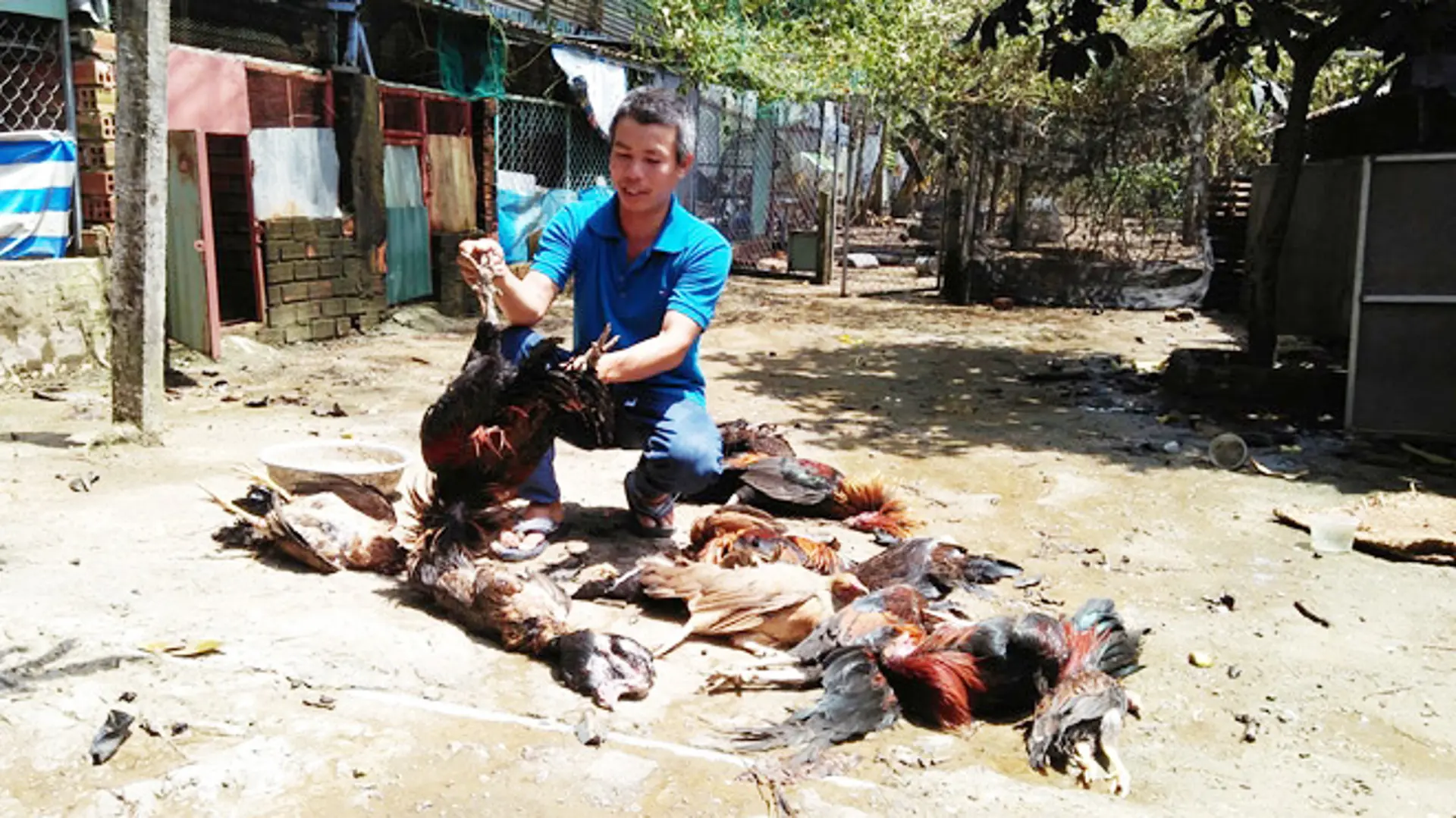 TP Hồ Chí Minh: Rò rỉ khí Amoniac, 4 người nhập viện