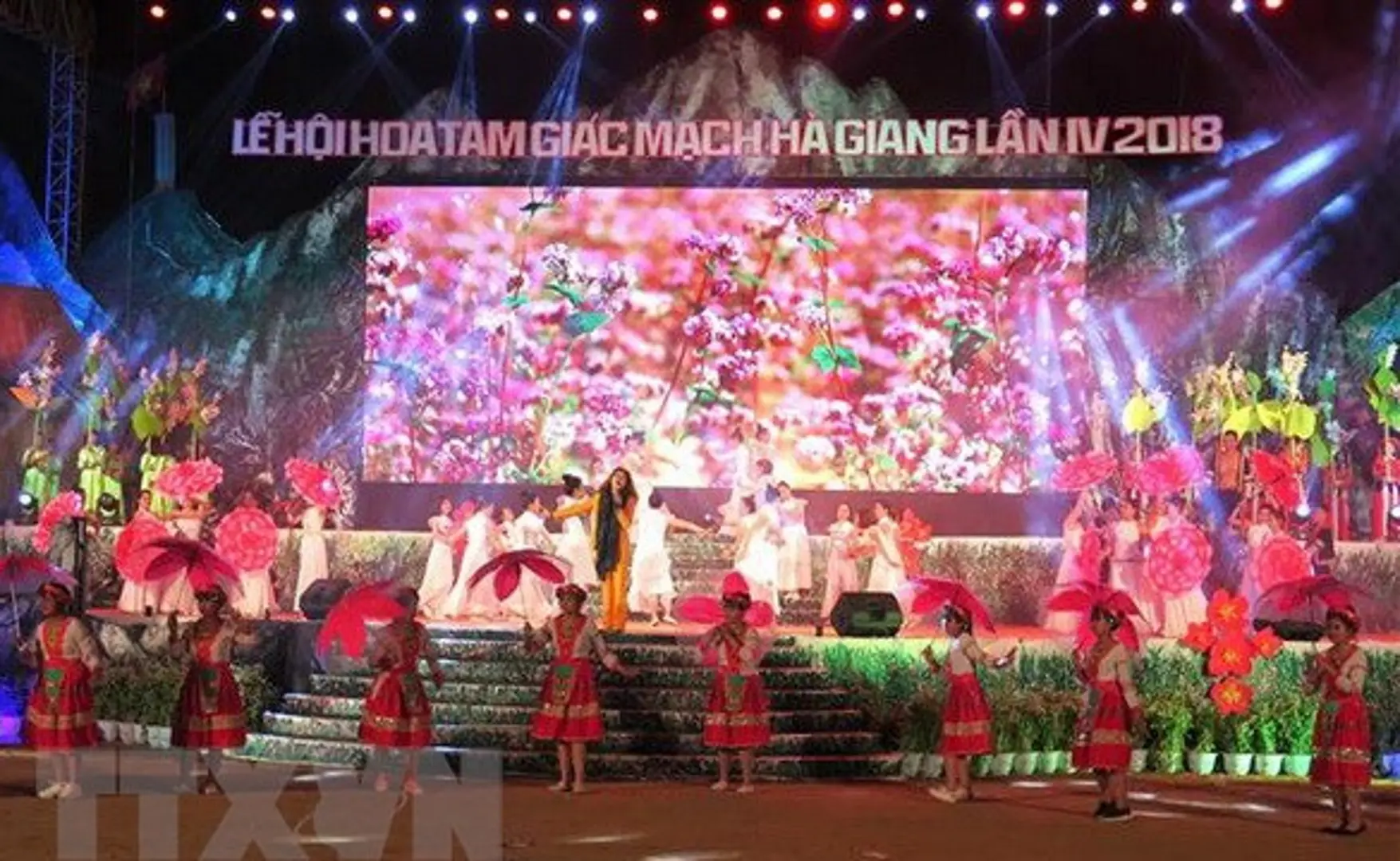 Khai mạc Lễ hội hoa tam giác mạch 2018 trên Cao nguyên đá Đồng Văn