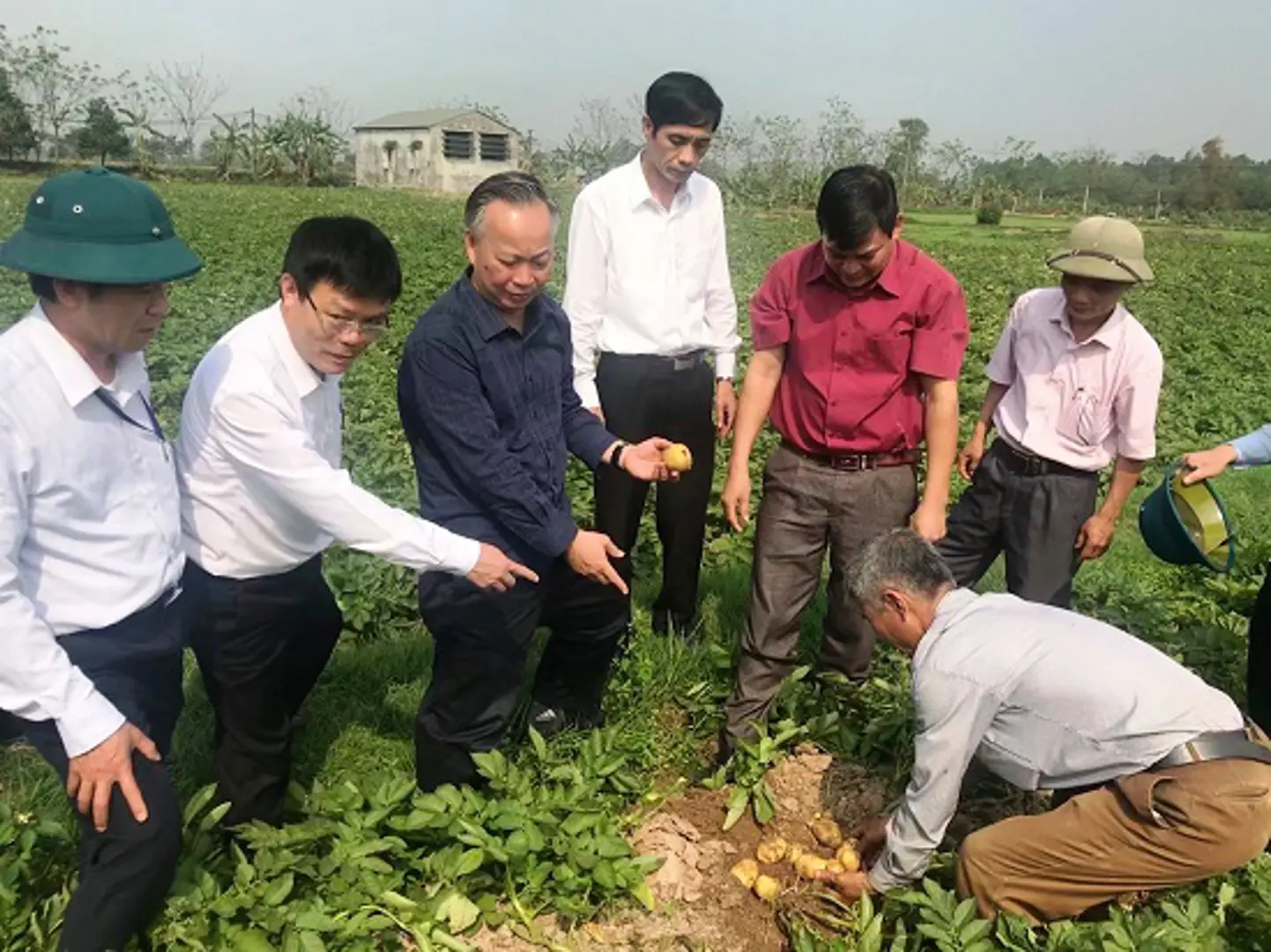 Phó Chủ tịch Thường trực Nguyễn Văn Sửu kiểm tra sản xuất vụ Xuân tại Thạch Thất