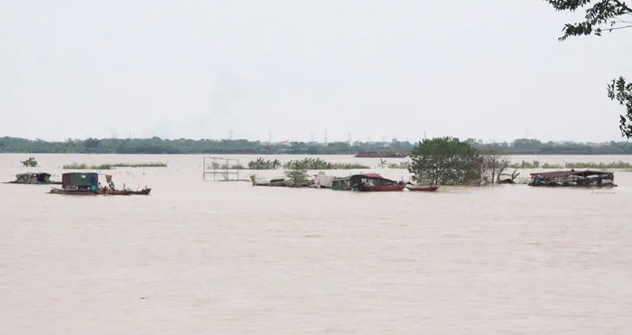Sông Hồng mùa nước nổi