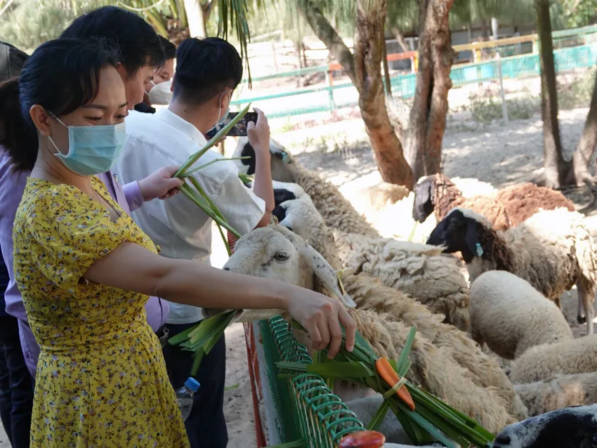 Hà Nội - Bình Định kết nối du lịch trong giai đoạn bình thường mới