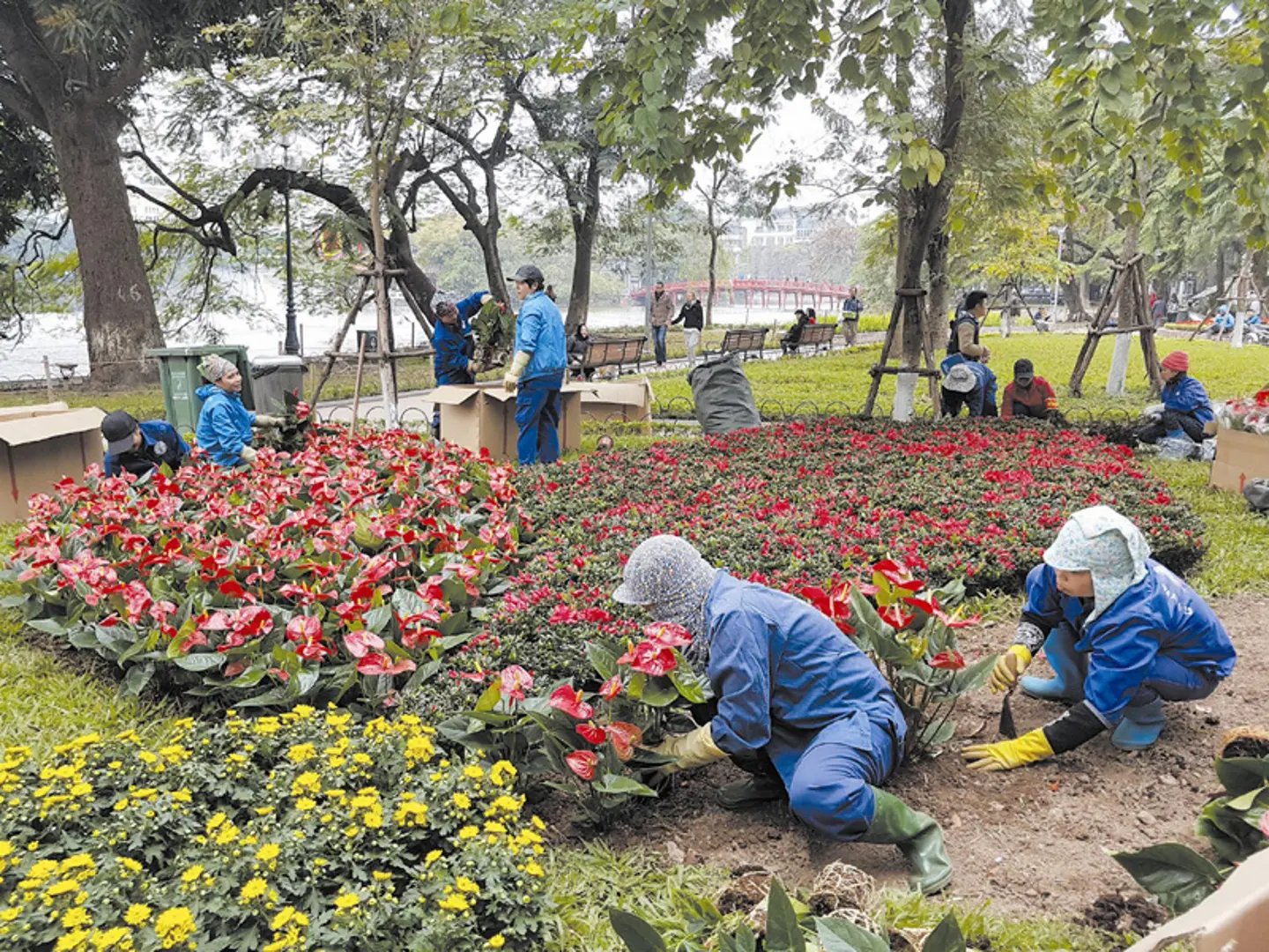 Phố phường sạch, đẹp đón Xuân