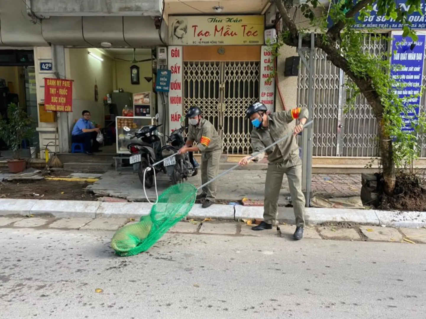 Cần đảm bảo an toàn cho người tham gia bắt chó thả rông