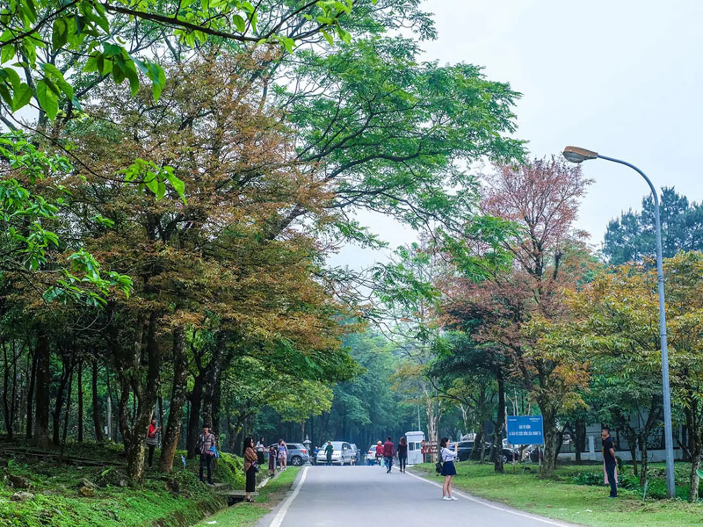 “Chắp cánh” cho du lịch Ba Vì