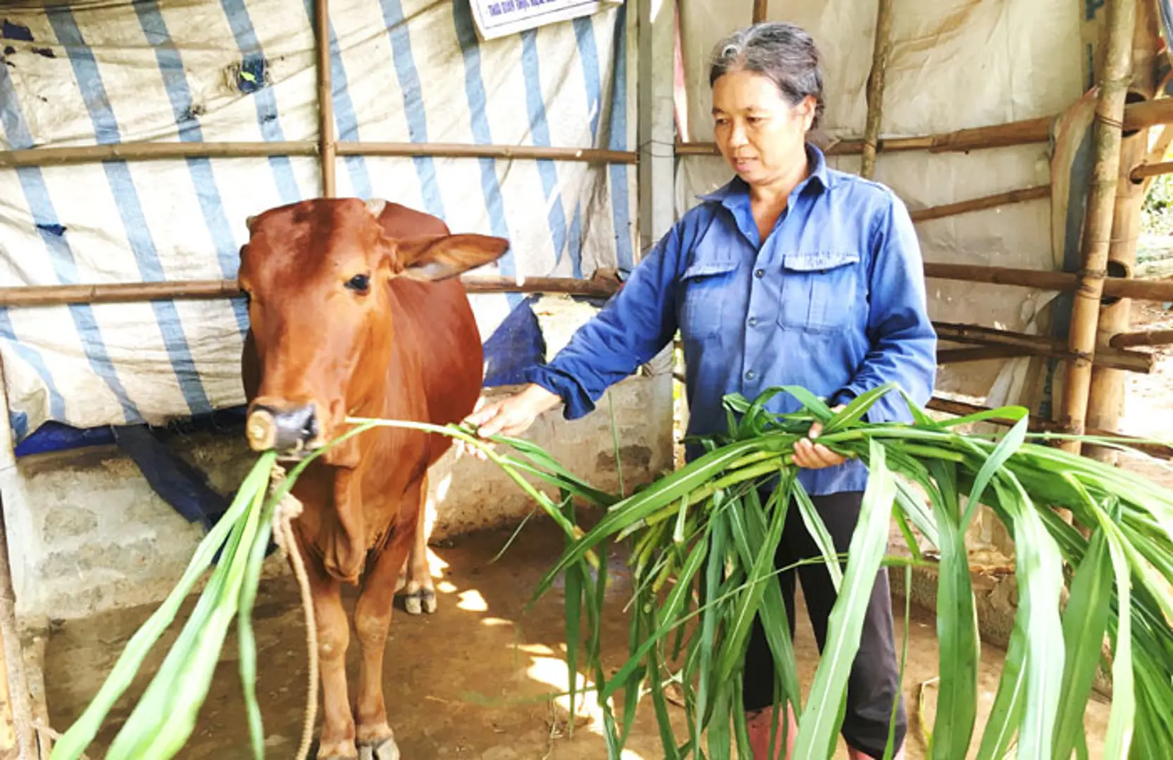 Trợ lực thoát nghèo cho Ba Trại