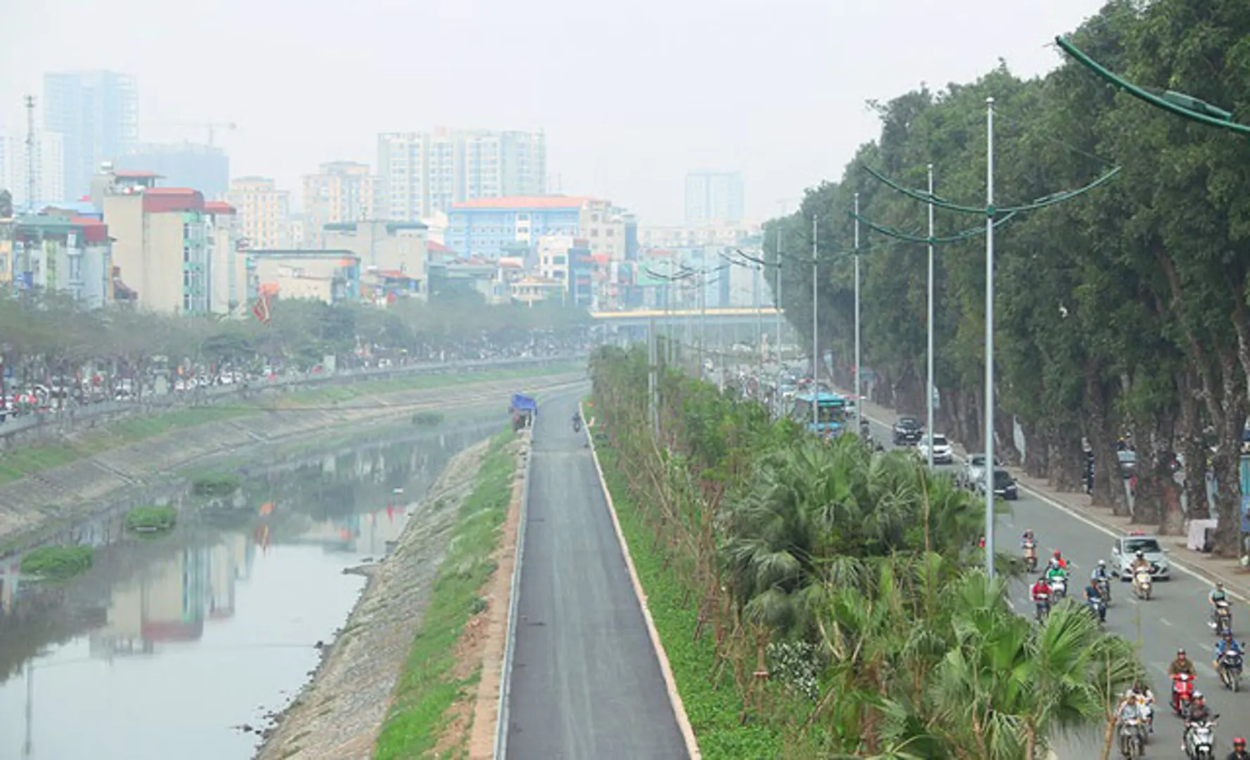 Vì sao Hà Nội di chuyển hàng loạt cây xanh dọc ven sông Tô lịch?