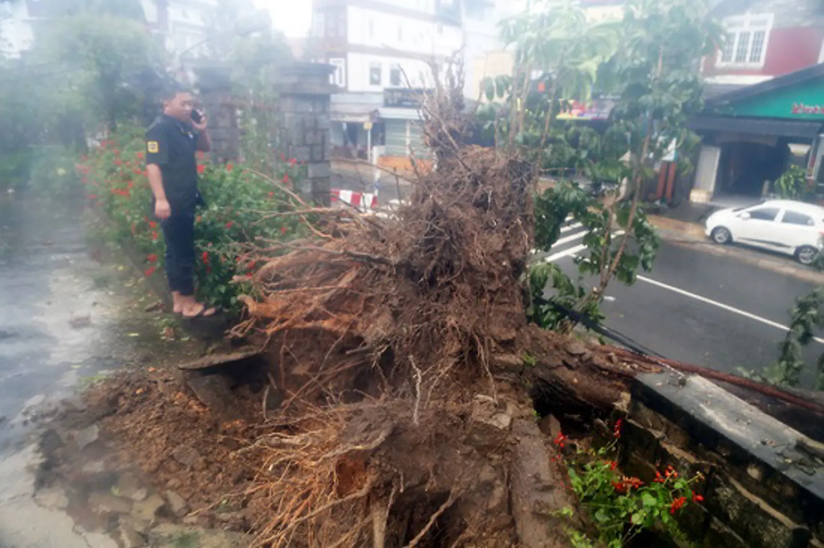 Bão Damrey càn quét Tây Nguyên, ít nhất 3 người chết