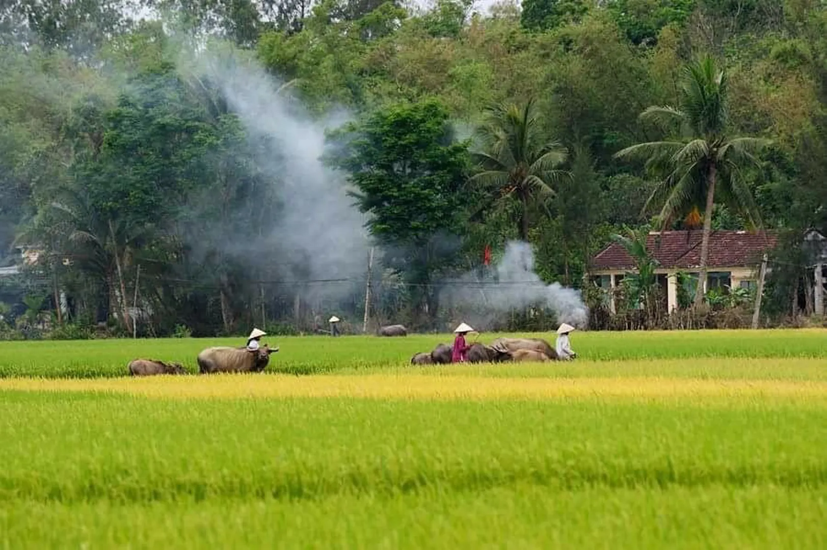 [Từ làng ra phố] Khói lam chiều...