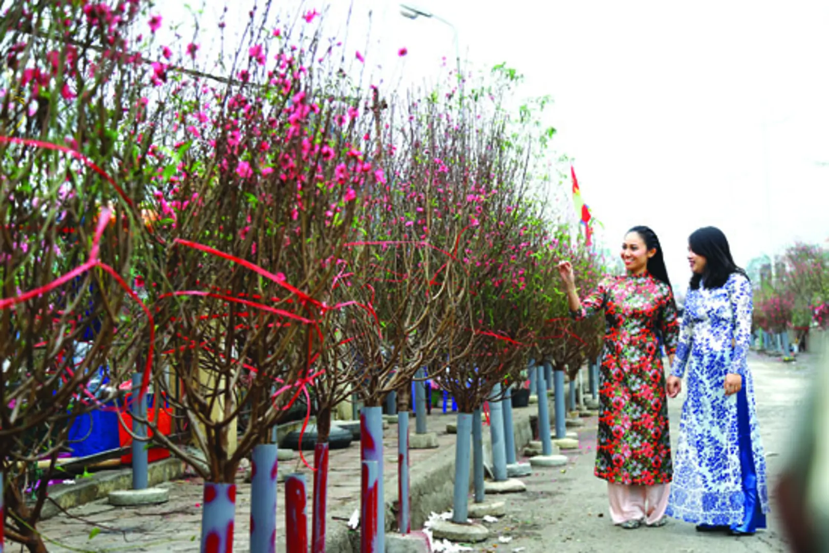 Hà Nội rộn ràng vào Xuân