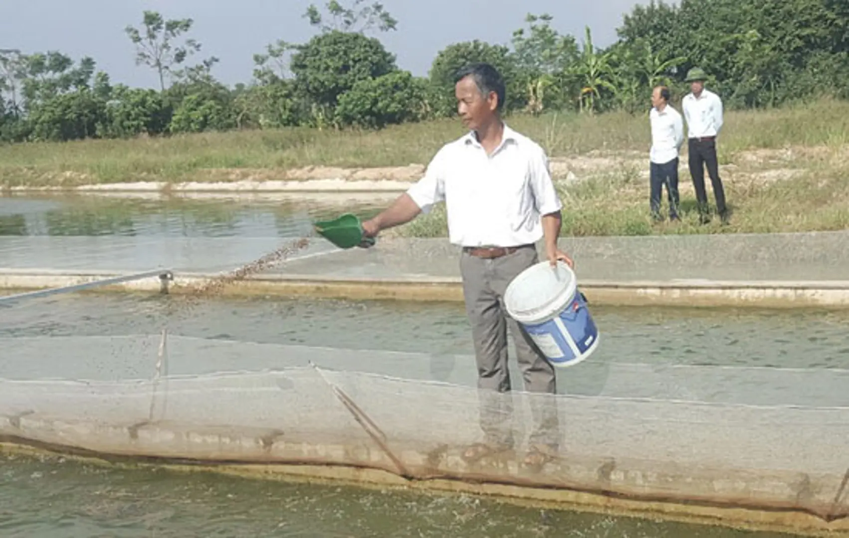 Nuôi cá chép ứng dụng công nghệ "sông trong ao": Hiệu quả kép