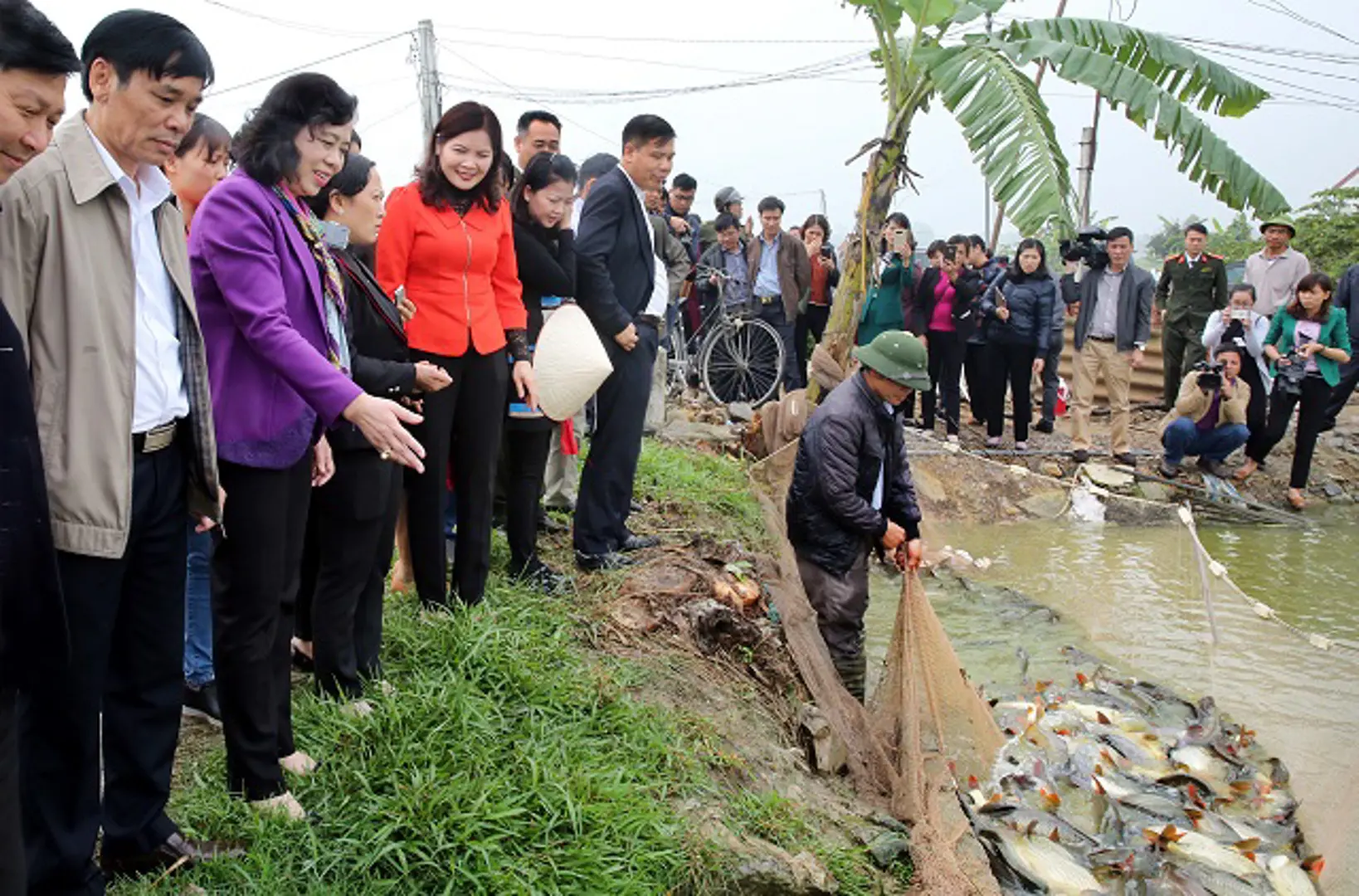 Phó Bí thư Thường trực Thành ủy Ngô Thị Thanh Hằng: Phát huy thế mạnh vùng chiêm trũng