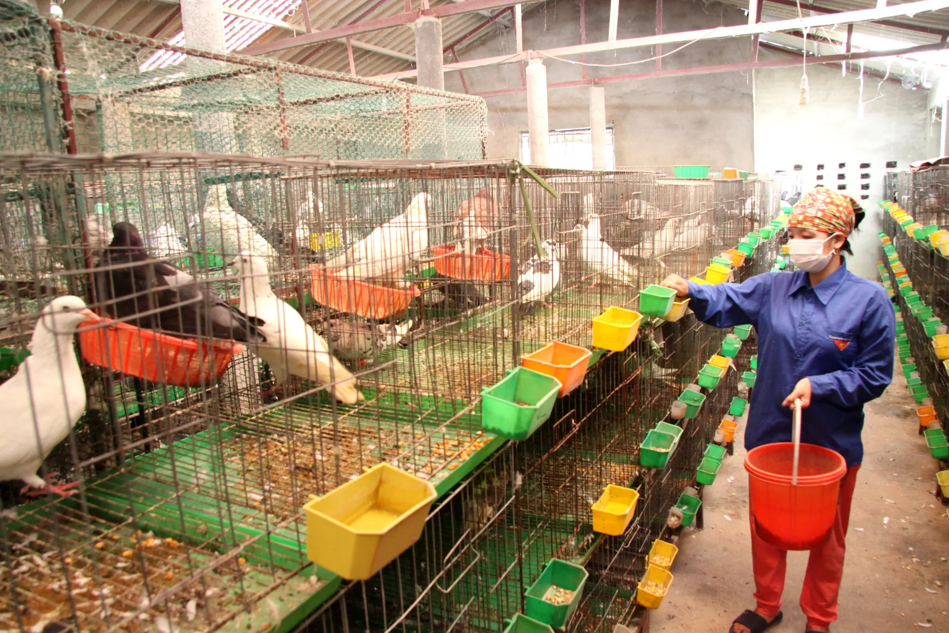 Kinh tế huyện Sóc Sơn tăng trưởng ấn tượng