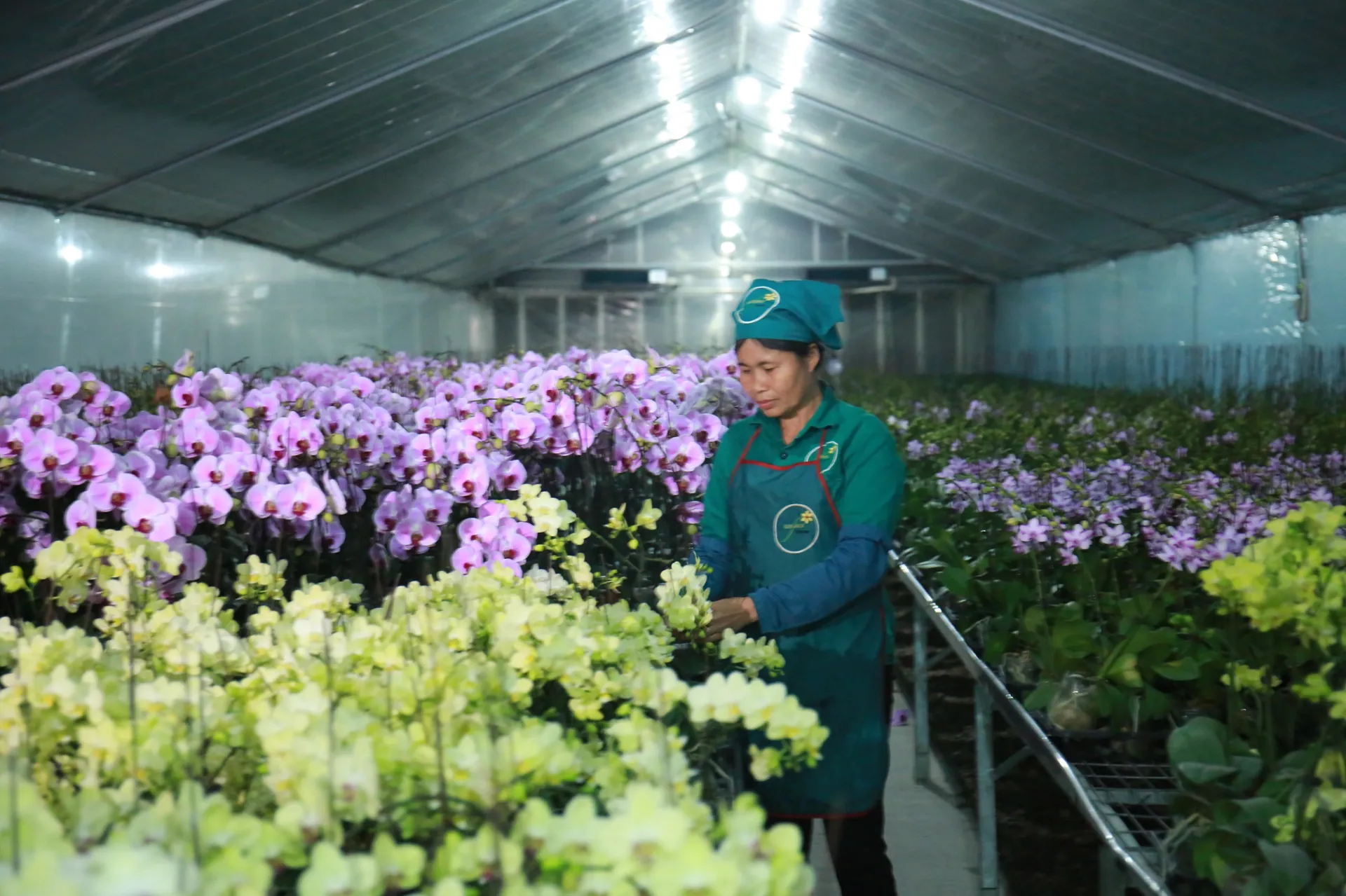 Hà Nội - lá cờ đầu trong xây dựng nông thôn mới