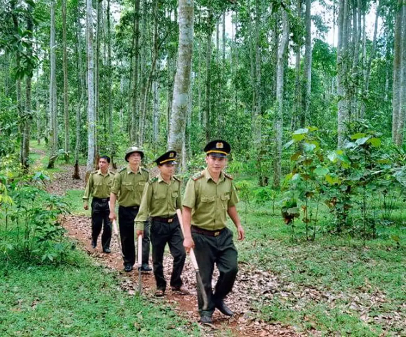 Tăng cường tuyên truyền cho người dân để thay đổi nhận thức về cách bảo vệ rừng