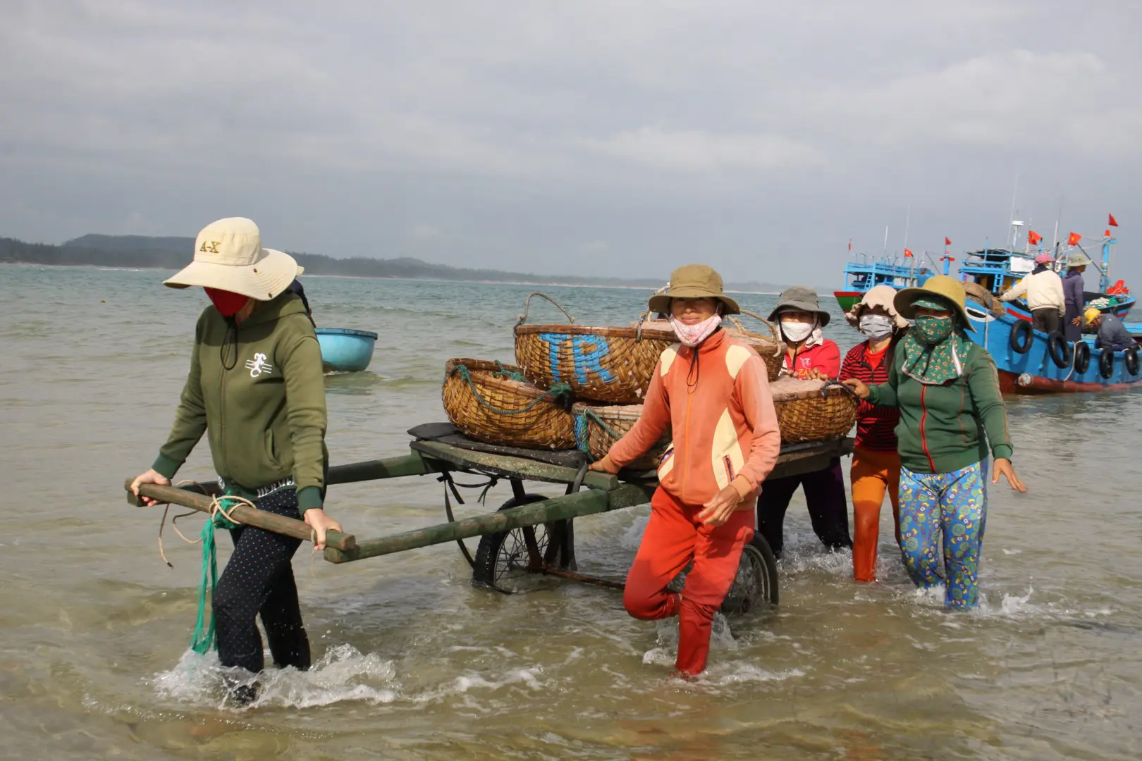 Quảng Ngãi: Tàu thuyền ăm ắp lộc biển cuối năm