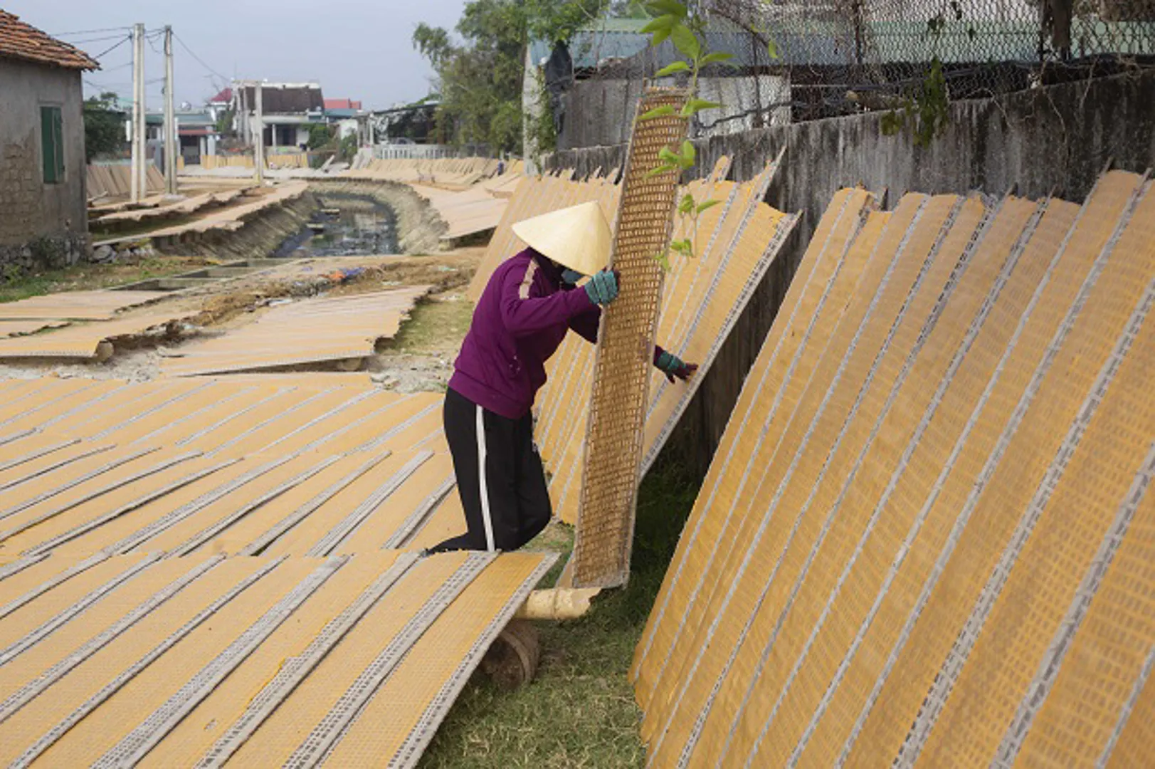 Quảng Bình: Bánh tráng Tân An "cháy hàng" dịp Tết