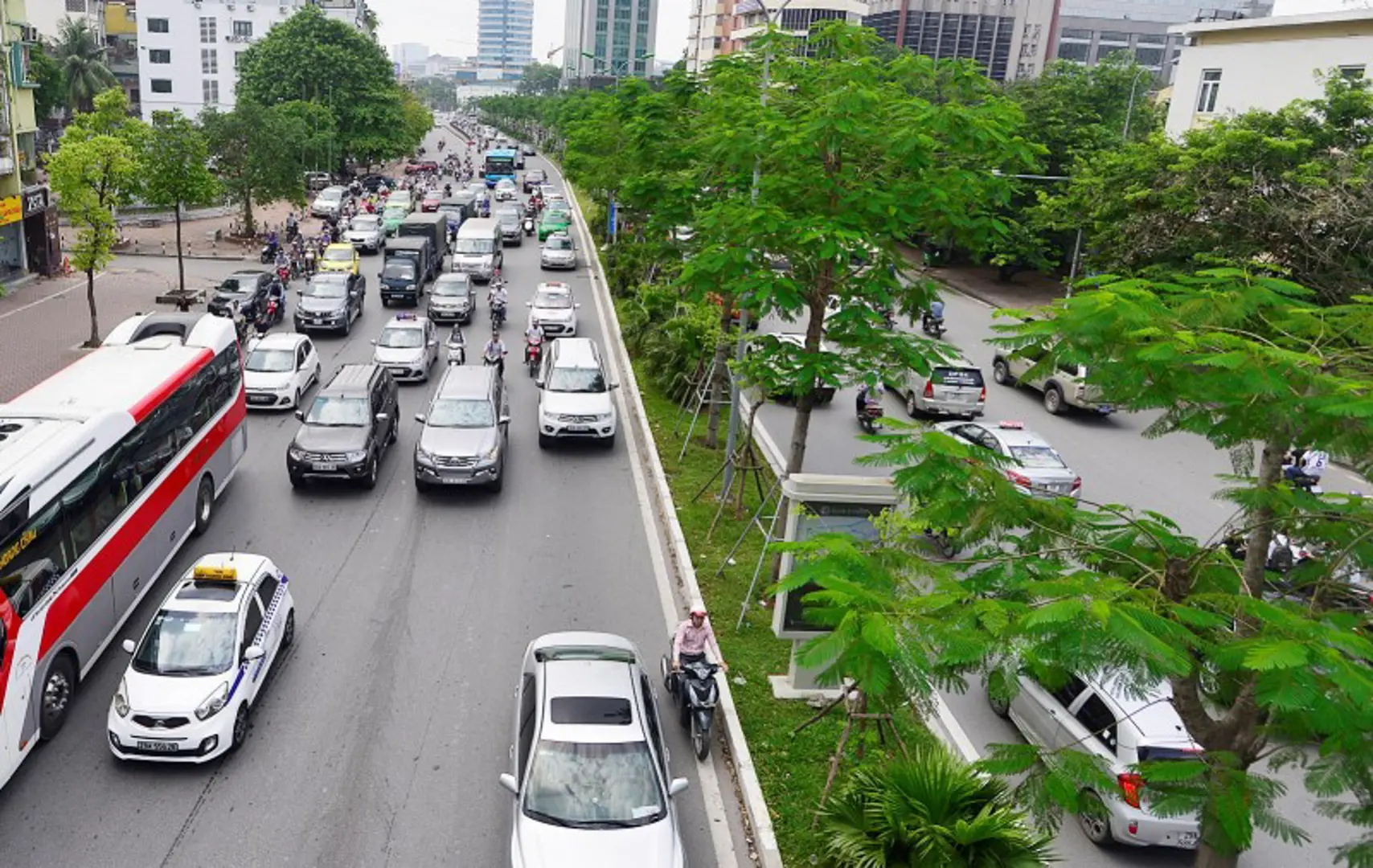 Hà Nội: Lan toả Tết trồng cây bảo vệ môi trường