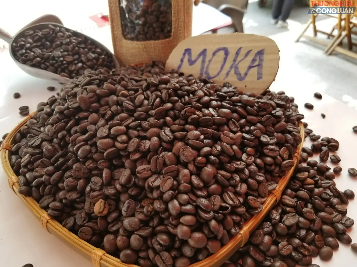 Giá cà phê hôm nay 10/2: Arabica tăng mạnh, lên mức cao nhất 10 năm