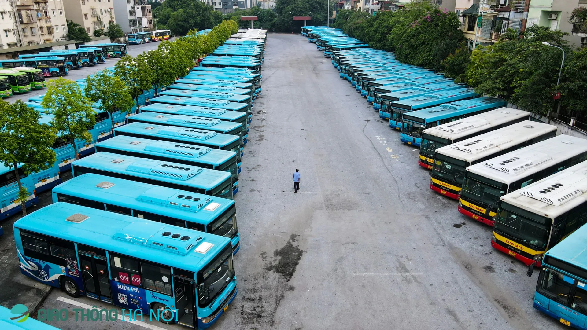 Tăng công suất hoạt động, xe buýt hút khách