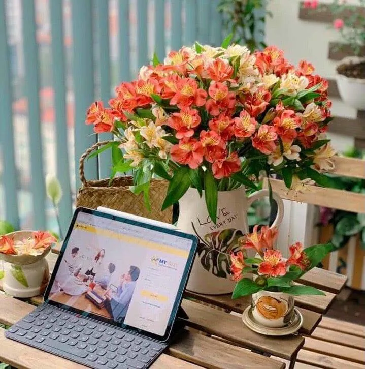Tử vi hôm nay 17/2/2022 của 12 cung hoàng đạo