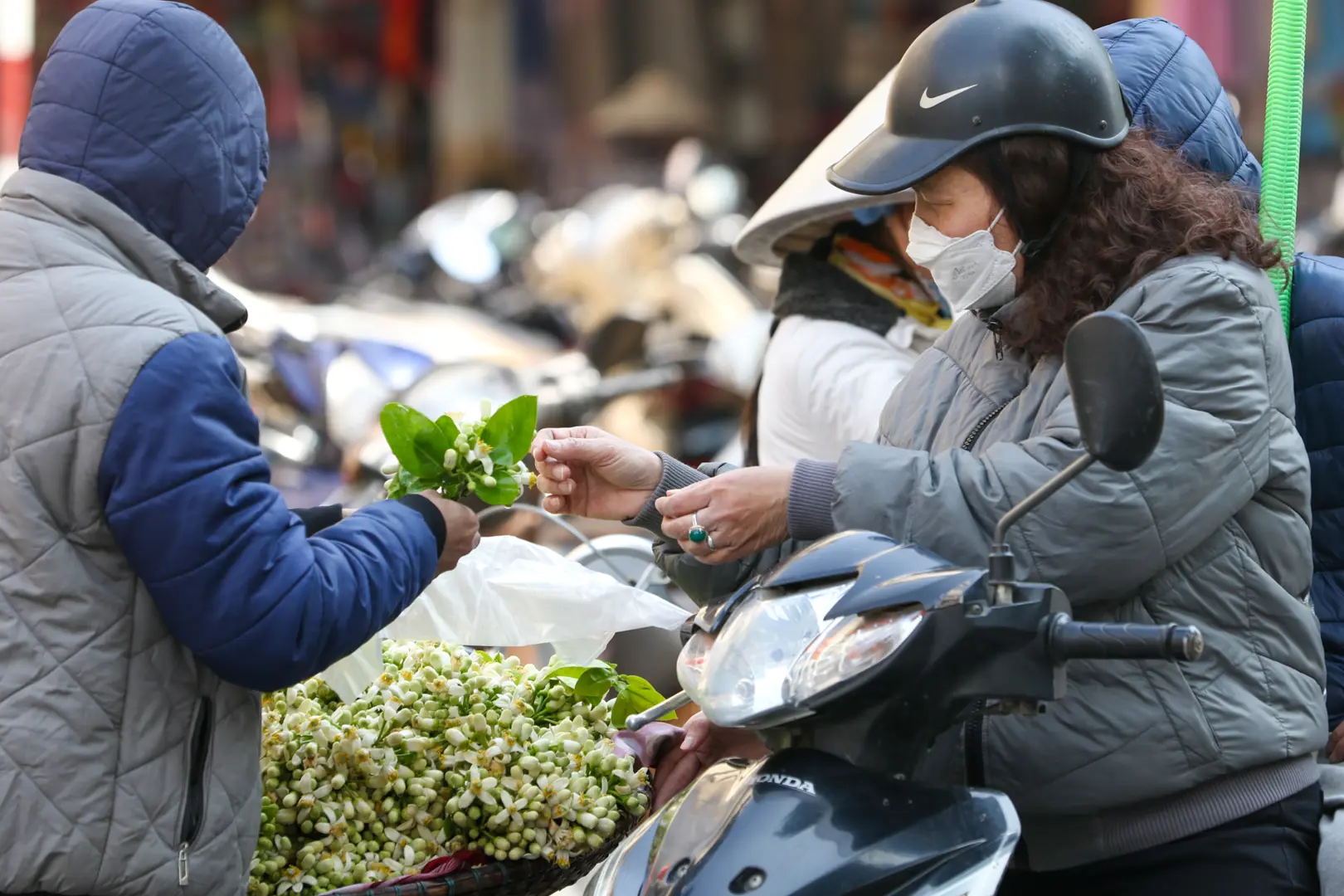 Hà Nội: Nồng nàn hương hoa bưởi