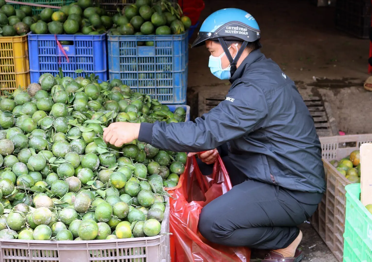 Hoa quả giàu vitamin C tăng giá 