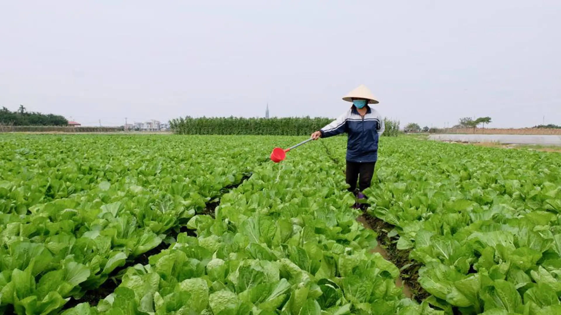 Xăng dầu tăng giá, làng nghề, hợp tác xã nông nghiệp "khó chồng khó"